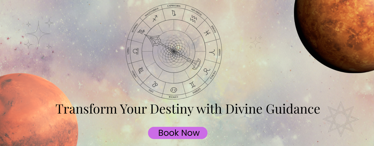 famous astrologer in udaipur