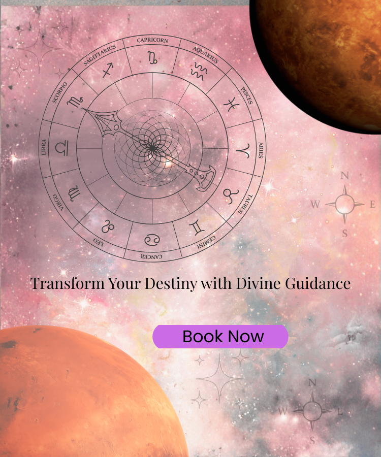 Famous astrologer in udaipur