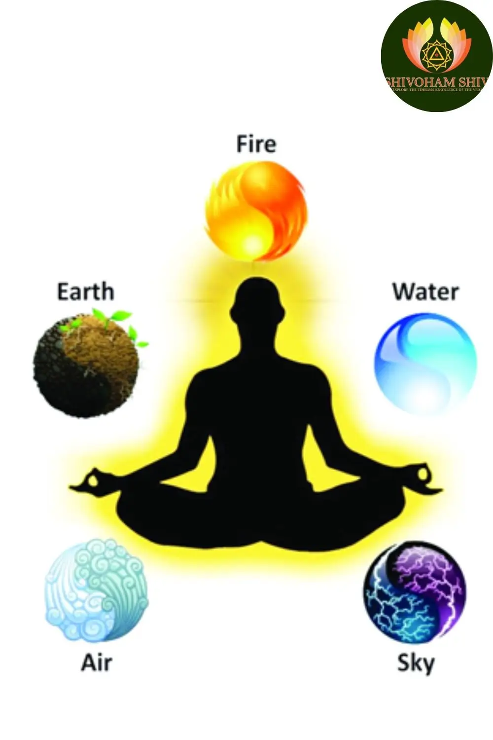 Career Guidance Astrologer in Udaipur